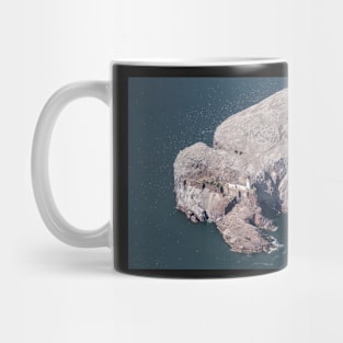 Bass Rock #2 Mug